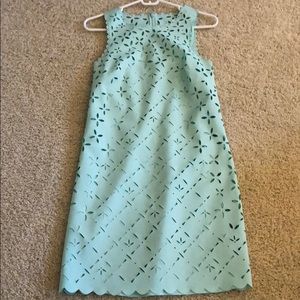 Beautiful J Crew dress